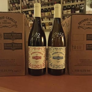 Procanico - Vini Di Territorio - Antonio Camillo 