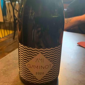 Domaine Ami - Paul Marchand-Perarnau & Willy Roulendes - Le Gaminot