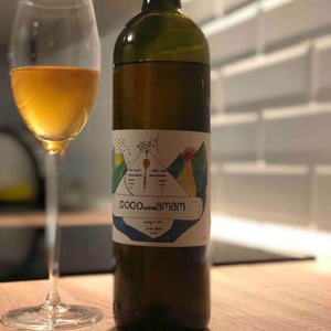 GOGO Wine / Artanuli Gvino - Kakha & Ketevan Berishvili - Rkatsiteli Amber Wine