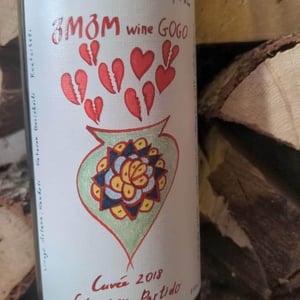 Rkatsiteli Amber Wine - GOGO Wine / Artanuli Gvino - Kakha & Ketevan Berishvili 
