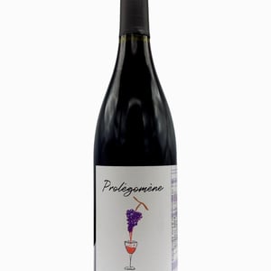 Prolégomène - Domaine Johan Tete - johan-tete