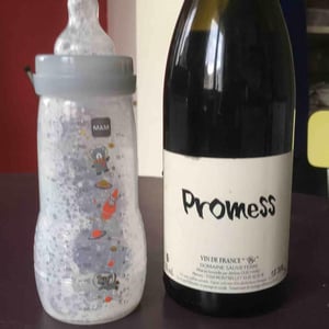 Domaine Sauveterre - Ghislaine & Jerôme Guichard - Promess