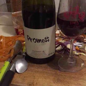 Promess - Domaine Sauveterre - Ghislaine & Jerôme Guichard 