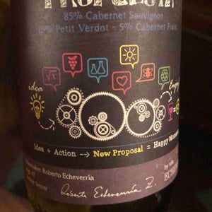 Propuesta - Viña Echeverría - Quasar Wines - roberto-viviana-paulina-diego-echeverria