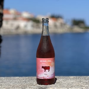 Prosa - Meinklang - Weingut Michlits - angela-werner-michlits