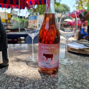 Prosa - Meinklang - Weingut Michlits - angela-werner-michlits