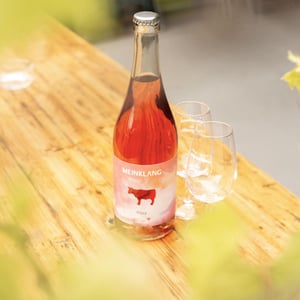 Prosa - Meinklang - Weingut Michlits - angela-werner-michlits