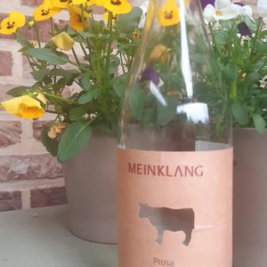 Prosa - Meinklang - Weingut Michlits - Angela & Werner Michlits 