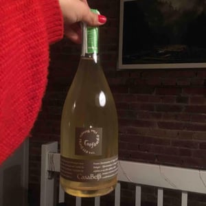 Prosecco Col Fondo 2016