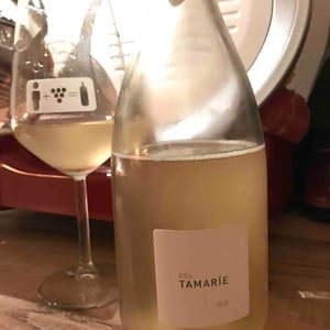 Col Tamarie - Alberto Dalle Crode - Prosecco Surlí