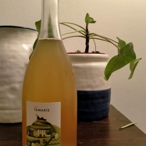 Col Tamarie - Alberto Dalle Crode - Prosecco Surlí
