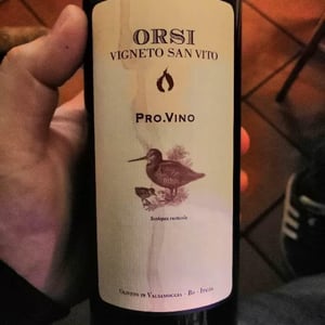 Pro.Vino - Orsi Vigneto San Vito - Federico Orsi 