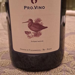 Pro.Vino - Orsi Vigneto San Vito - federico-orsi