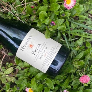 Pryxx - Hummel Pincészet - Weingut Hummel - horst-hummel -2013