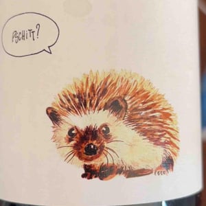 Pschitt - Le Clos Vagabond - Lucie Barral & Vincent Kolf -2023