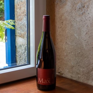 P'tit Max - Domaine Guy Breton - P'tit Max - guy-breton