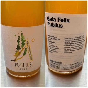 Publius - Gaia Felix - michele-lorenzetti -2020