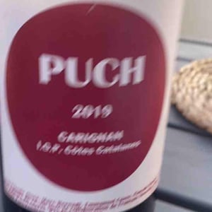 Puch - Vignes du Puch - Christophe Smith 