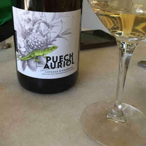 Puech Auriol 2021