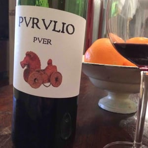 Puer - Viñas de Purulio-Bodega Torcuato Huertas Tomás - Tomás Torcuato Huertas 