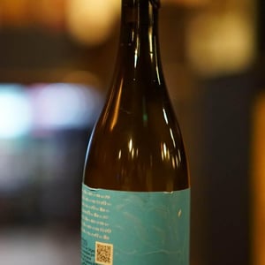 Godello - Puerta del Viento - jorge-vega