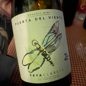 Puerta Del Viento - Puerta del Viento - Jorge Vega -2021