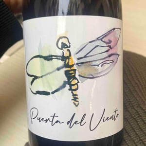 Puerta Del Viento - Puerta del Viento - Jorge Vega -2021