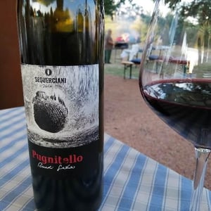 Pugnitello - Podere Sequerciani di Ruedi Gerber - Ruedi Gerber 