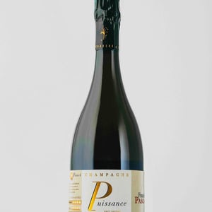 Puissance - Franck Pascal - franck-isabelle-pascal -2009