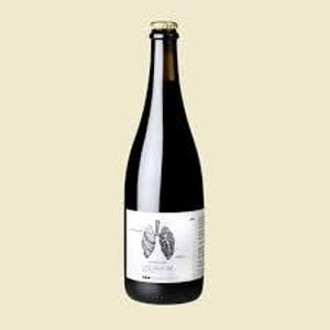 Pulmò de Mas Perdut - Finca Mas Perdut - Josep i Rebeca 