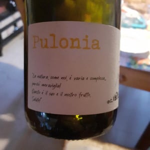 Pulonia - Angol d'Amig - Marco Lanzotti 