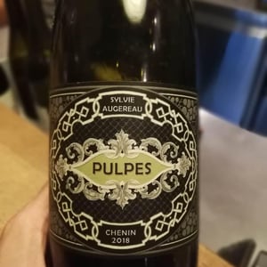 Pulpes - Sylvie Augereau - Sylvie Augereau 