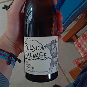 Pulsion Sauvage - La Vigne Sauvage - David Humbert 