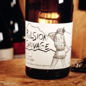 Pulsion Sauvage - La Vigne Sauvage - David Humbert 