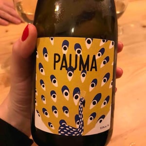 Pauma - Fontaine Des Grives / Château Richard - leila-lare-benoit-perisse -2020