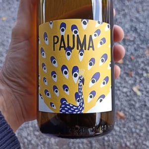 Pauma - Fontaine Des Grives / Château Richard - leila-lare-benoit-perisse -2020