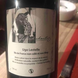 Punkahontas - Ugo Lestelle - Ugo Lestelle 