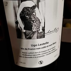 Punkahontas - Ugo Lestelle - Ugo Lestelle 