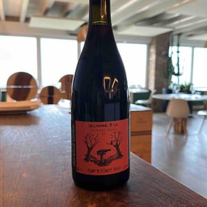 Punk’s Pinot Dead - Delhomme & co - baptiste-delhomme