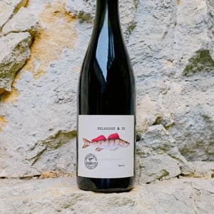 Punk’s Pinot Dead - Delhomme & co - baptiste-delhomme