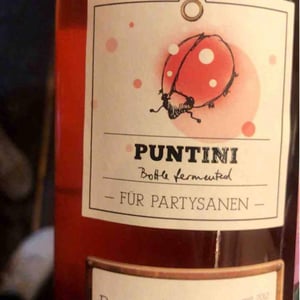 Markus Altenburger rosé Prickelnd - Weingut Markus Altenburger - markus-altenburger -2017