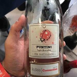 Markus Altenburger rosé Prickelnd - Weingut Markus Altenburger - markus-altenburger -2017