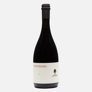 Puntorosso - Podere Sottoilnoce - Max Brondolo -2019