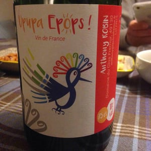 Upupa Epops Pet' Nat - Domaine du Clos Fremur - Anthony Robin 