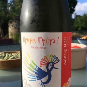 Upupa Epops Pet' Nat - Domaine du Clos Fremur - Anthony Robin 