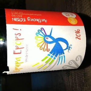 Upupa Epops Pet' Nat - Domaine du Clos Fremur - Anthony Robin 