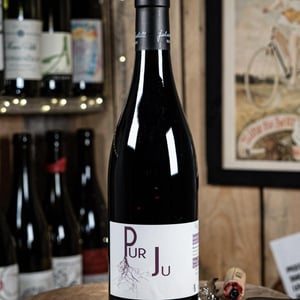 Pur Ju - Castell Reynoard - julien-castell