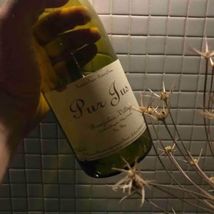 Pur Jus - Xavier Bénier - Xavier Bénier 