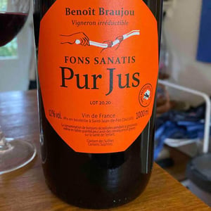 Pur Jus - Fons Satanis - Benoît Braujou 