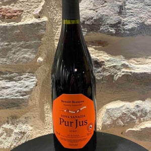 Pur Jus - Fons Satanis - benoit-braujou